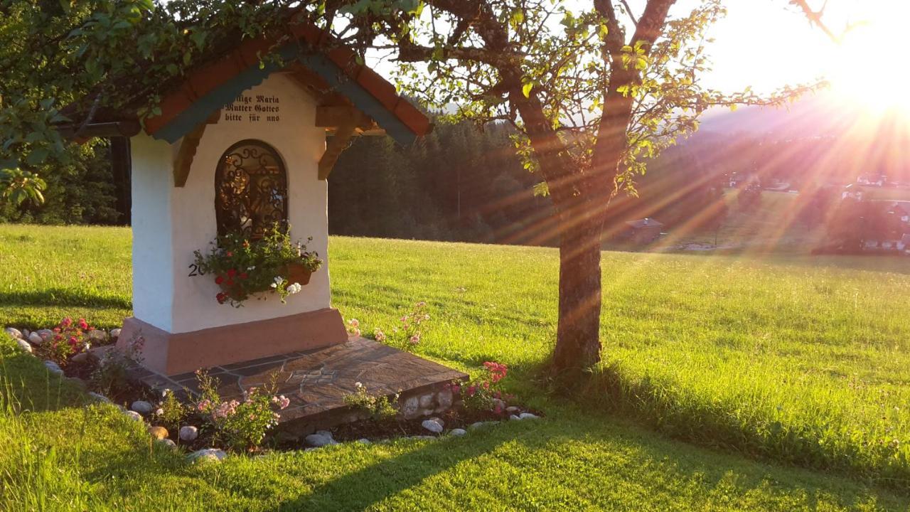 Lederhof Lägenhet Abtenau Exteriör bild